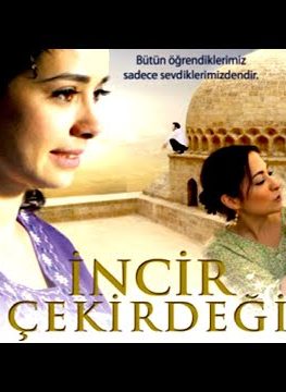 incir-cekirdegi-full-hd-izle