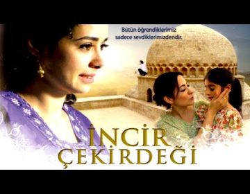 incir-cekirdegi-full-hd-izle